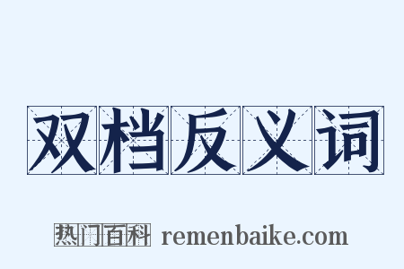 双档反义词是什么意思的图片